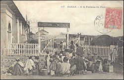 v_senegal_002.jpg