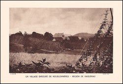 v_houblonnieeres_haguenau.jpg