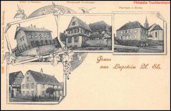 v_lupstein3_1.jpg