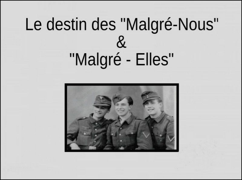 malgre-nous.jpg