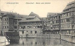 v_bains_plantes_001.jpg