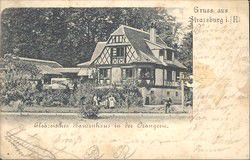 v_buerehiesel_001.jpg