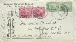 v_muscat_001.jpg