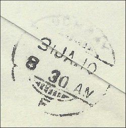 v_muscat_002.jpg