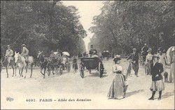 v_paris_allee_acacias_001.jpg