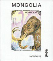 v_mongolie_001.jpg
