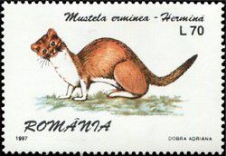 v_roumanie_1997.jpg