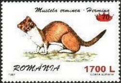 v_roumanie_2000.jpg