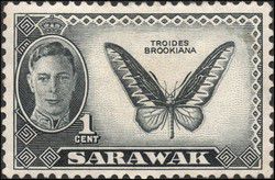 v_sarawak_001.jpg