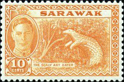 v_sarawak_007.jpg