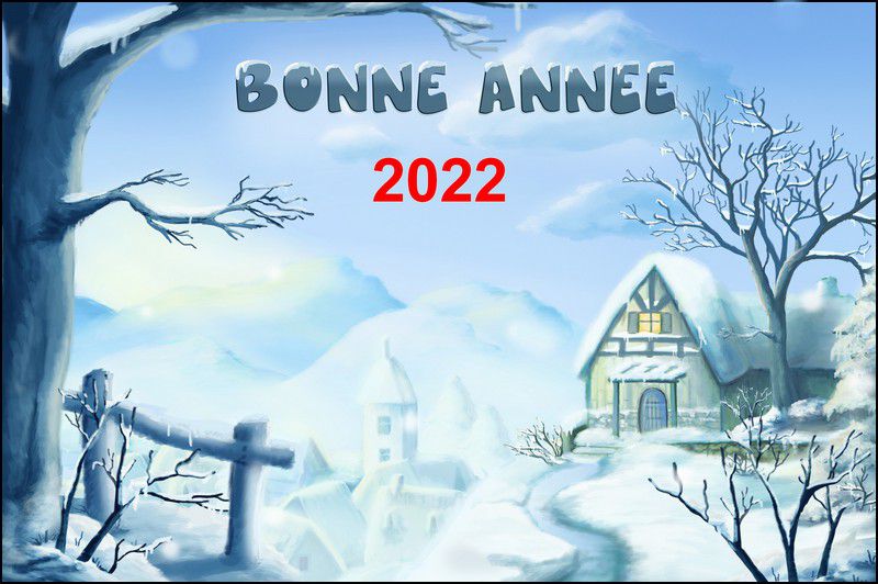 bonne_annee.jpg